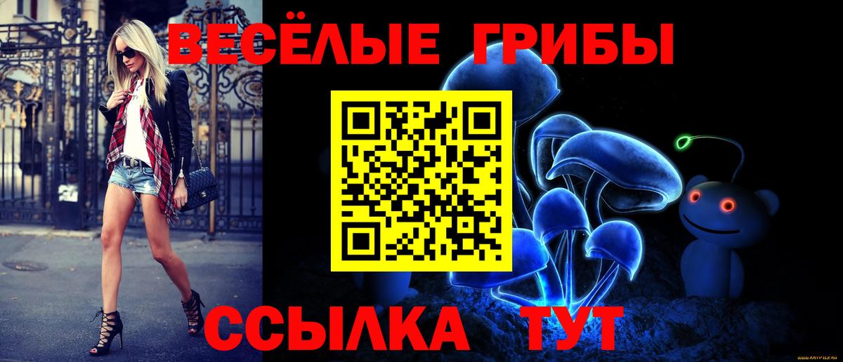 Галлюциногенные грибы Magic Shrooms  Вход с VPN  Галлюциногенные грибы Psilocybe  Избербаш 